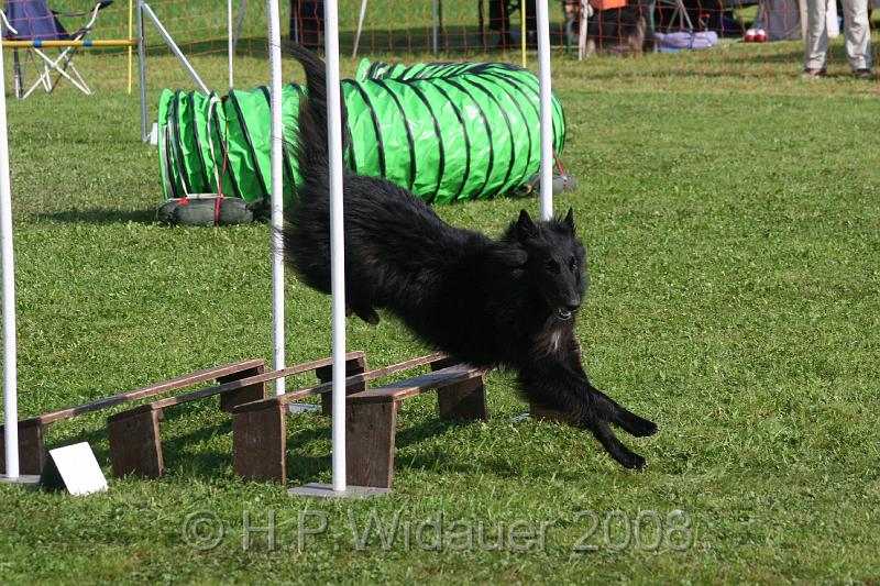 jubil.lusten. 088.jpg